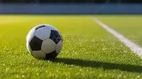 利雅得体育大乐透期号专家推荐质合分析前瞻